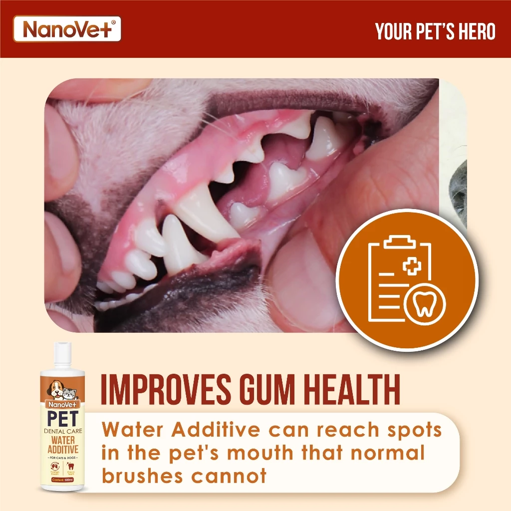 Pet Dental Care Water Additive for Cat and Dog