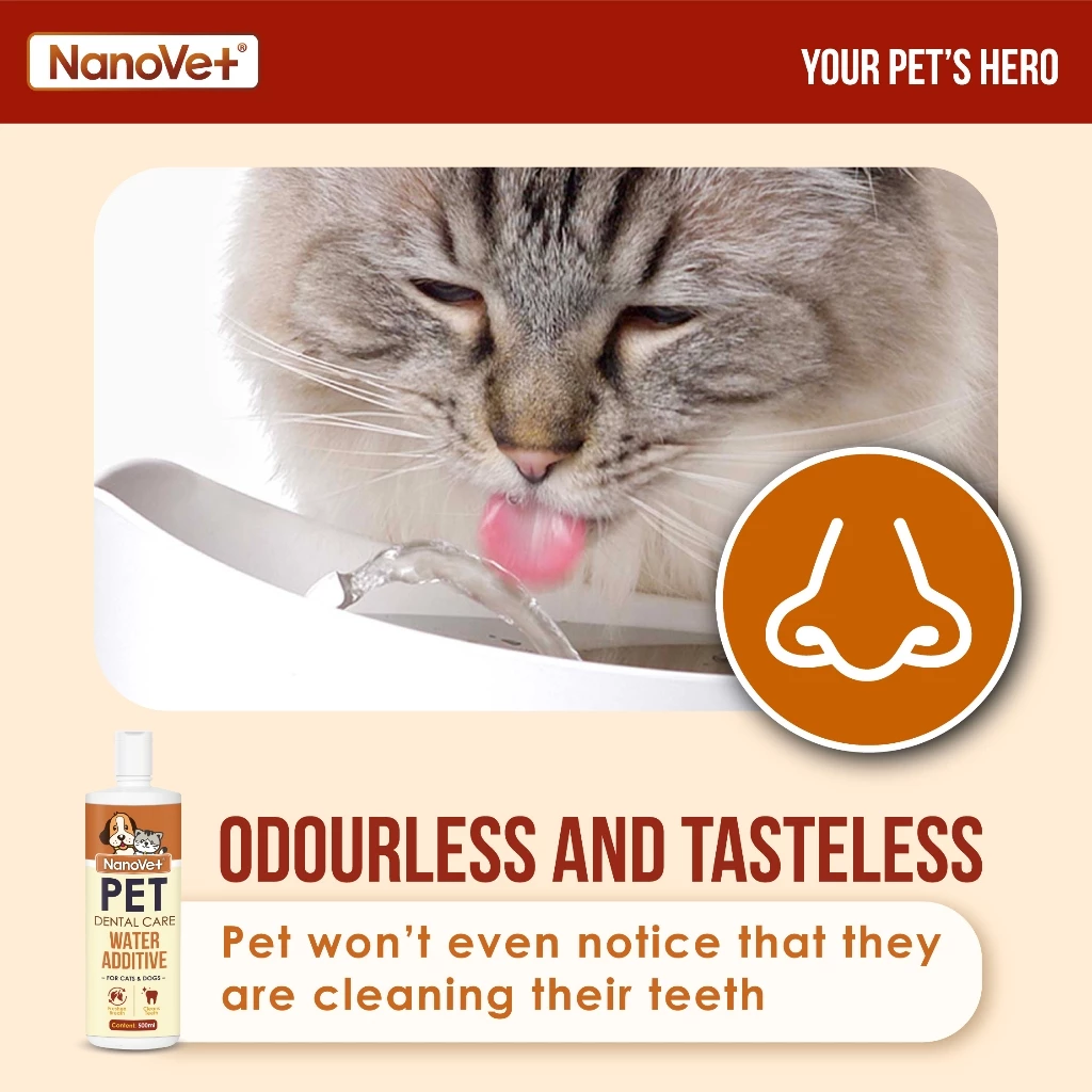 Pet Dental Care Water Additive for Cat and Dog