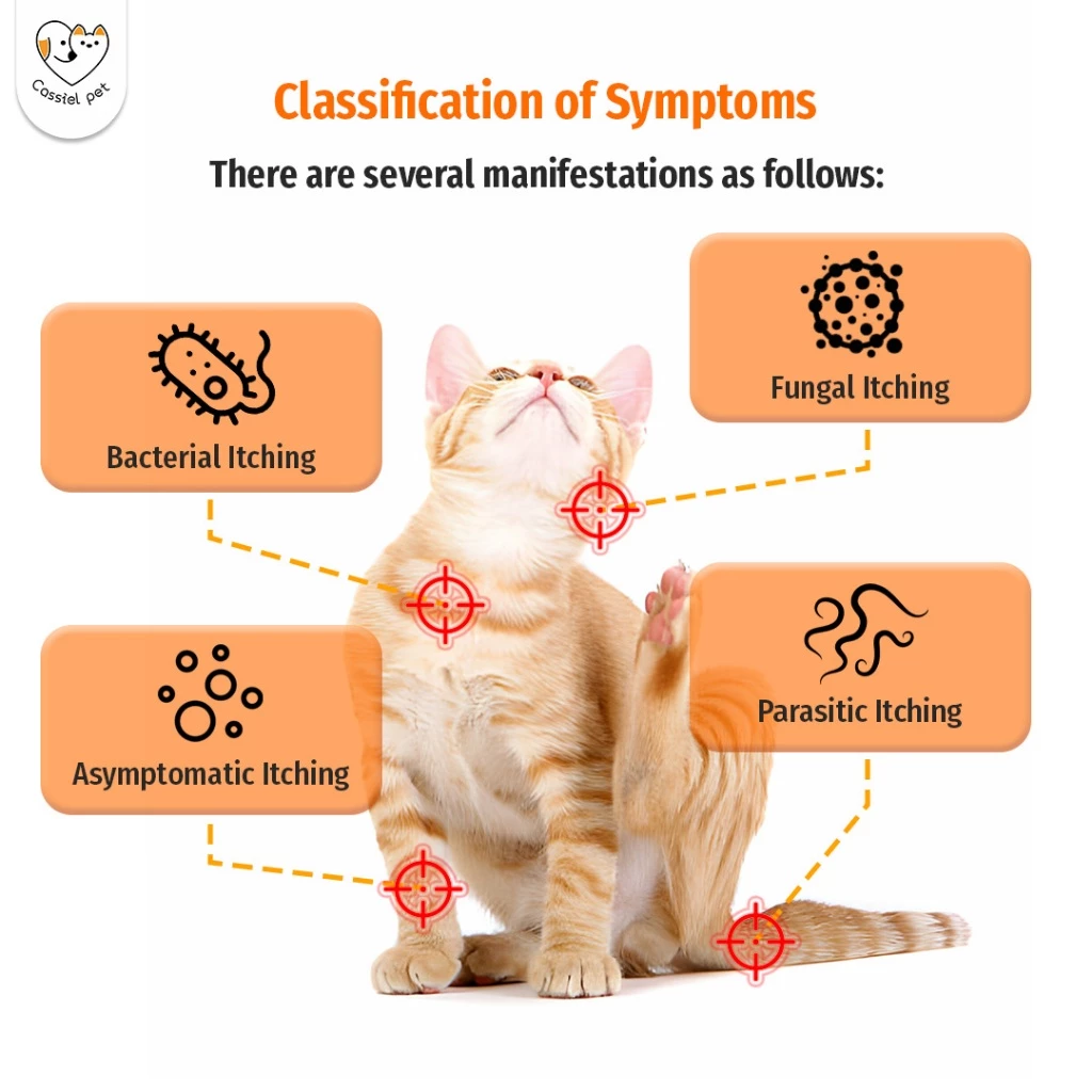 Cassiel Pet Anti Itching Medicine Ubat Gatal Kucing Skin Allergy Eczema Inflammation Relief For Cat&Dog