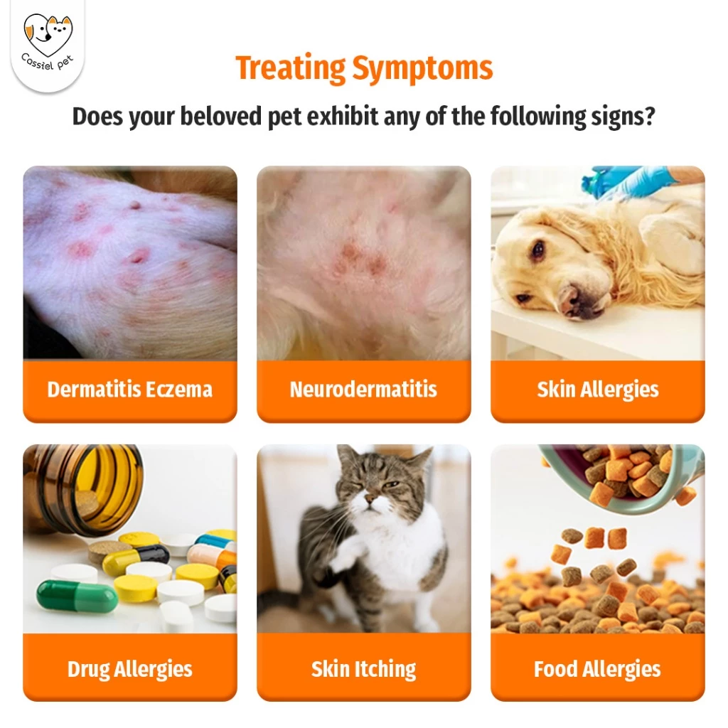 Cassiel Pet Anti Itching Medicine Ubat Gatal Kucing Skin Allergy Eczema Inflammation Relief For Cat&Dog