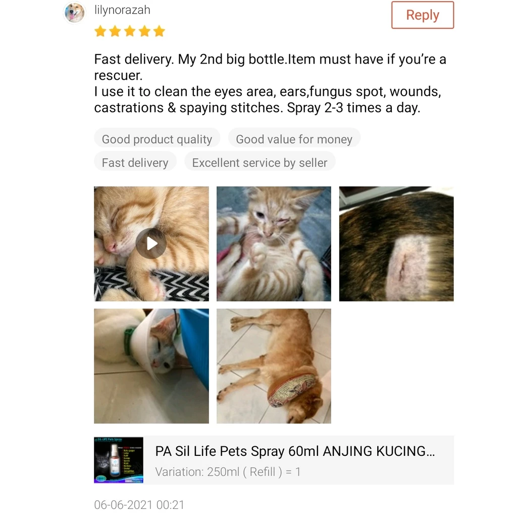 PA Sil-Life Pets Spray Refill (250ml) 50ppm cat dog rabbit sporo fungus wound kucing kurap luka gatal
