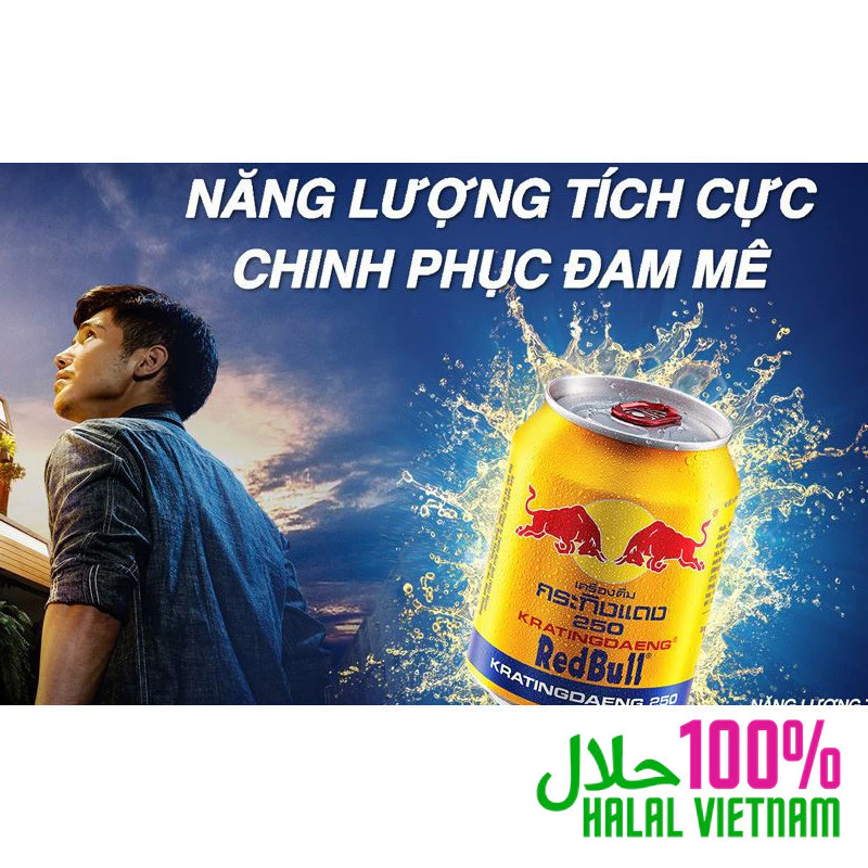 24 cans of Redbull Energy Drink 250ml - Red Bull - 100% HALAL VIETNAM