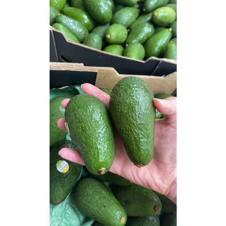 Australia Avocados Hass, High in Quality Unsaturated Fats, Creamy & Smooth, Nutritious Choice