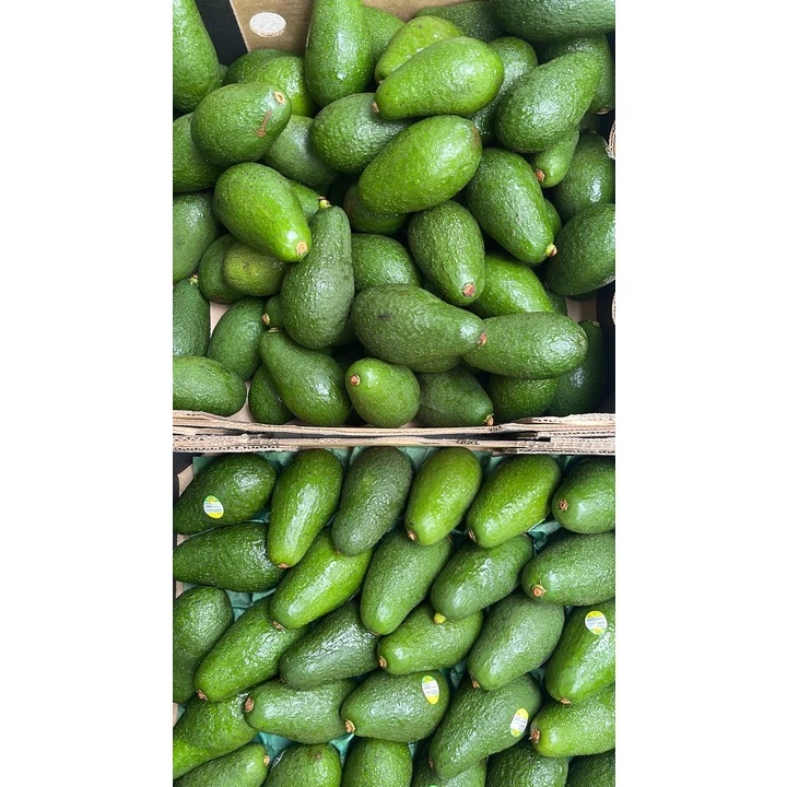 Australia Avocados Hass, High in Quality Unsaturated Fats, Creamy & Smooth, Nutritious Choice
