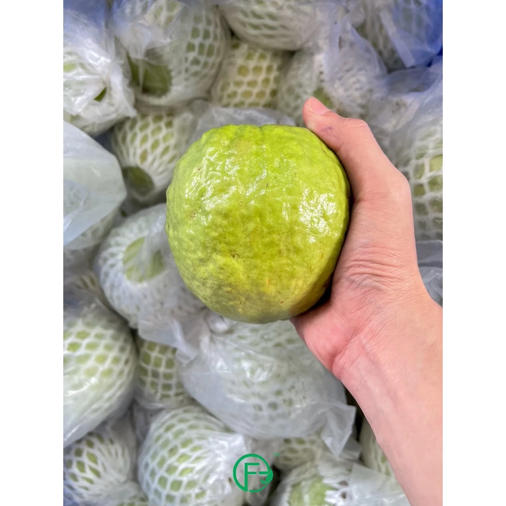 Organic Guava Lohan 1kg± (2pcs)
