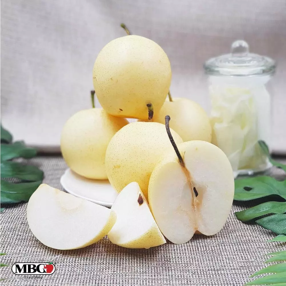 Fresh Pear Korea Singo Pear China Century Pear)