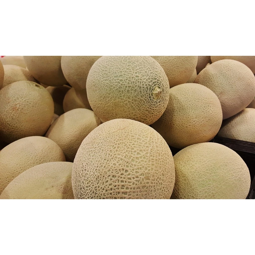 Hami Melon 2kg per piece