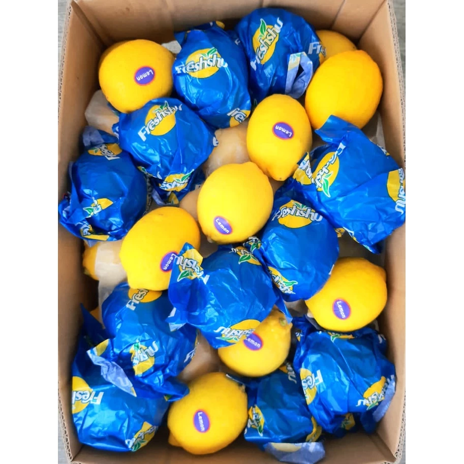 Fresh Lemon, Buah Lemon