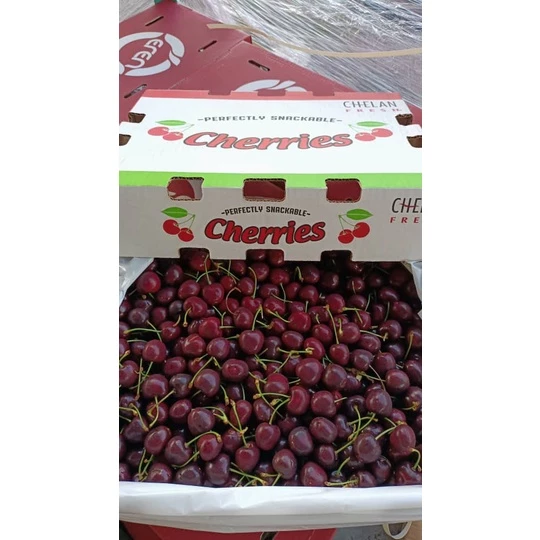 Fresh Cherry