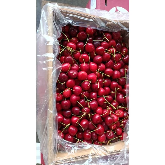 Fresh Cherry