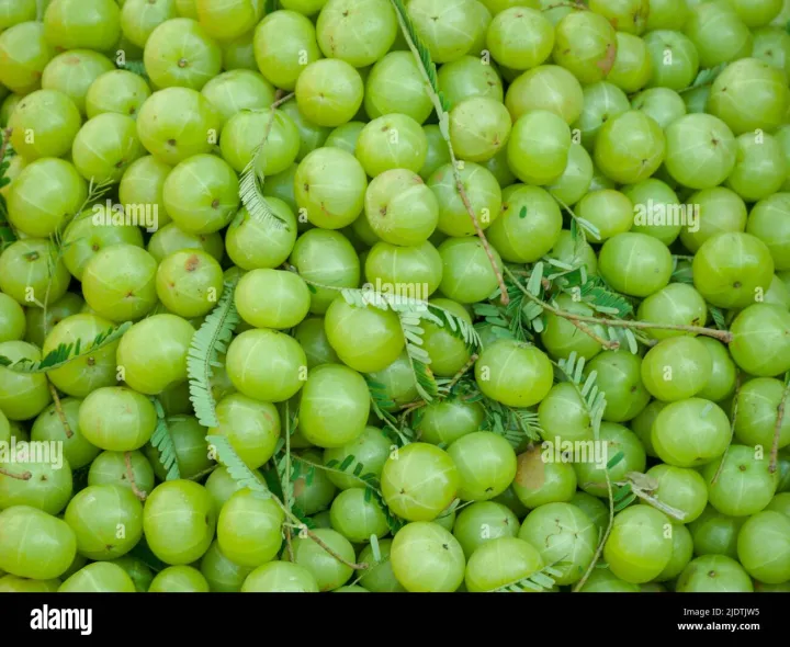 FRESH AMLA FRUIT/GROOSEBERRY 100g
