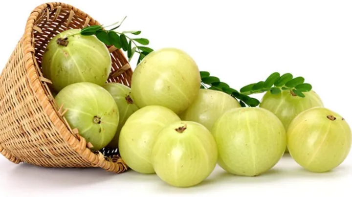 FRESH AMLA FRUIT/GROOSEBERRY 100g