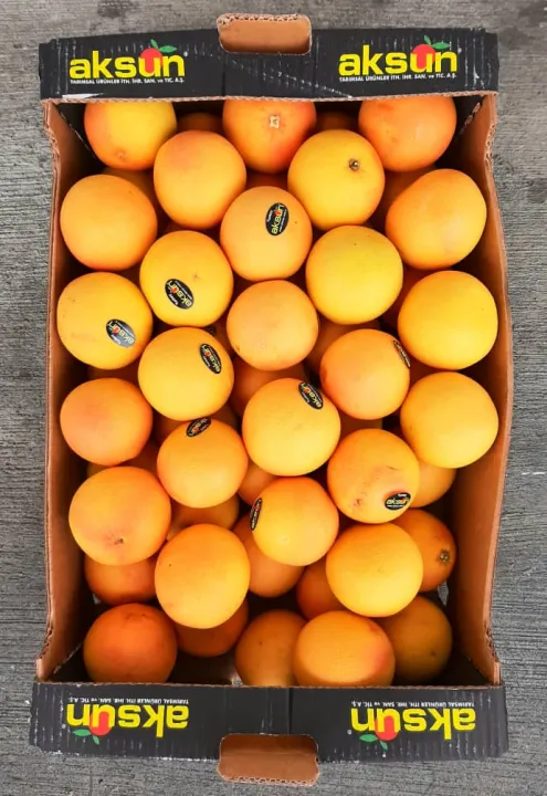 Fresh Grapefruit 1pc