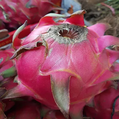 Fresh Fruit - [KLANG VALLEY] Red Dragon Fruit