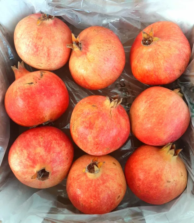 Fresh Pomegranate / Buah Delima (1, 2 or 3 pcs) - (Current Season: CHINA)