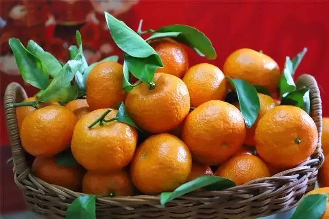 Fresh Fruit - [Klang Valley] Sugar Sweet Mandarin Orange/Tangerine 1pkt (700g)