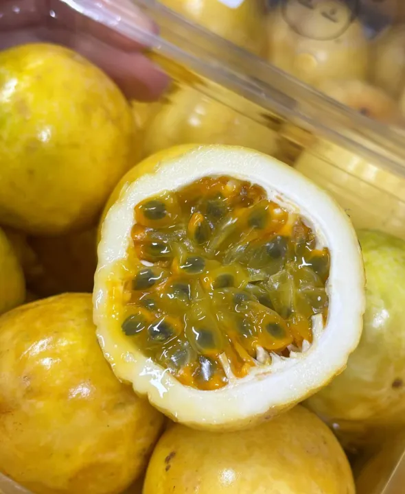 Panama Golden Passion Fruit Sweet Buah Markisa Kuning新鲜百香果 1kg