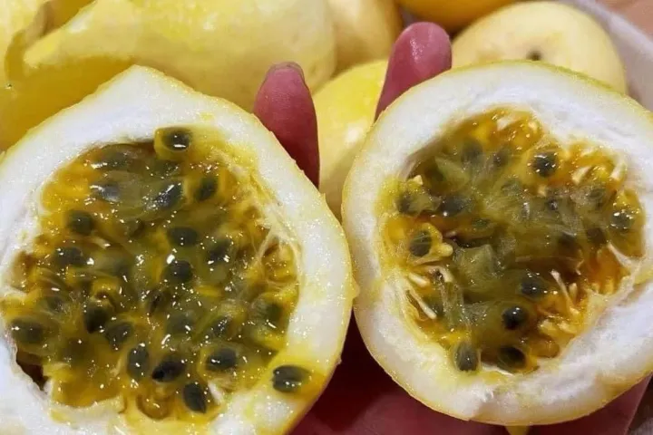 Panama Golden Passion Fruit Sweet Buah Markisa Kuning新鲜百香果 1kg