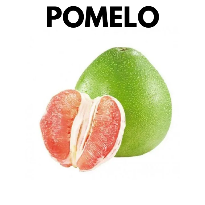 Pomelo Sweetsour | Limau Bali (1 pieces) Fresh Fruits [Klang Valley]