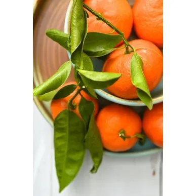 Mandarin Oranges 1kg Limau Mandarin Fresh Fruits