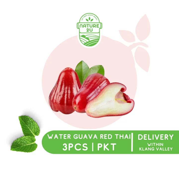 Nature2U Fresh Fruit - Water Guava Red Thailand / Jambu Air Thai / 泰国水蓊 (3PCS | PKT)