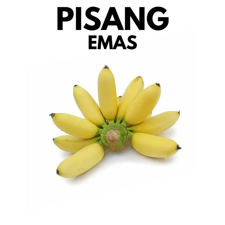 Pisang Emas / Susu | Banana (+/- 1KG) Fresh Fruits [Klang Valley]