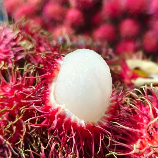 Fresh Rambutan Direct From Farm 2kg