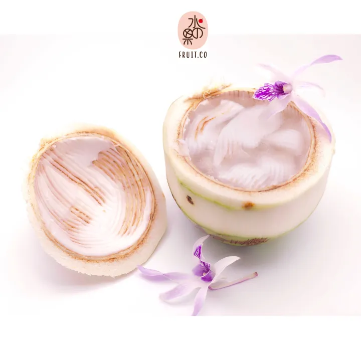 *NEW* Fresh Coconut Jelly 1PC FRUIT.CO