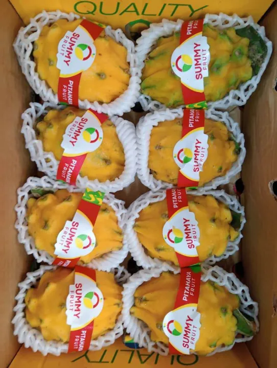 Fresh Ecuador Yellow Pitahaya Super Sweet& Juicy Dragon Fruits