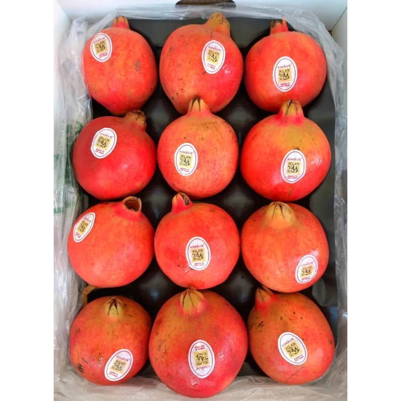  OHSOLAH X5 Dashboard Coating (300ml)