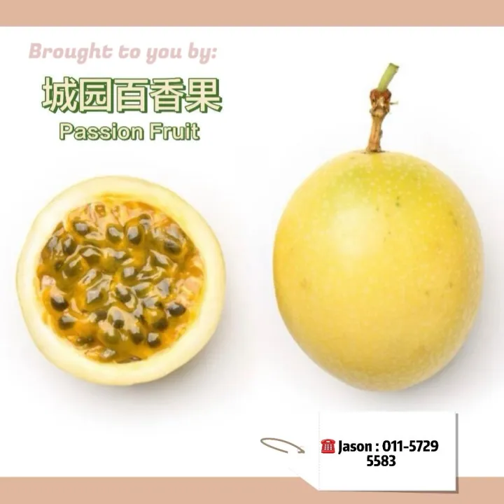 (M Size) Buah Markisa Emas Panama Passion Fruit Panama Golden 100%Sweet Fruit Buah Markisa Kuning Pamana type Mygap Certified