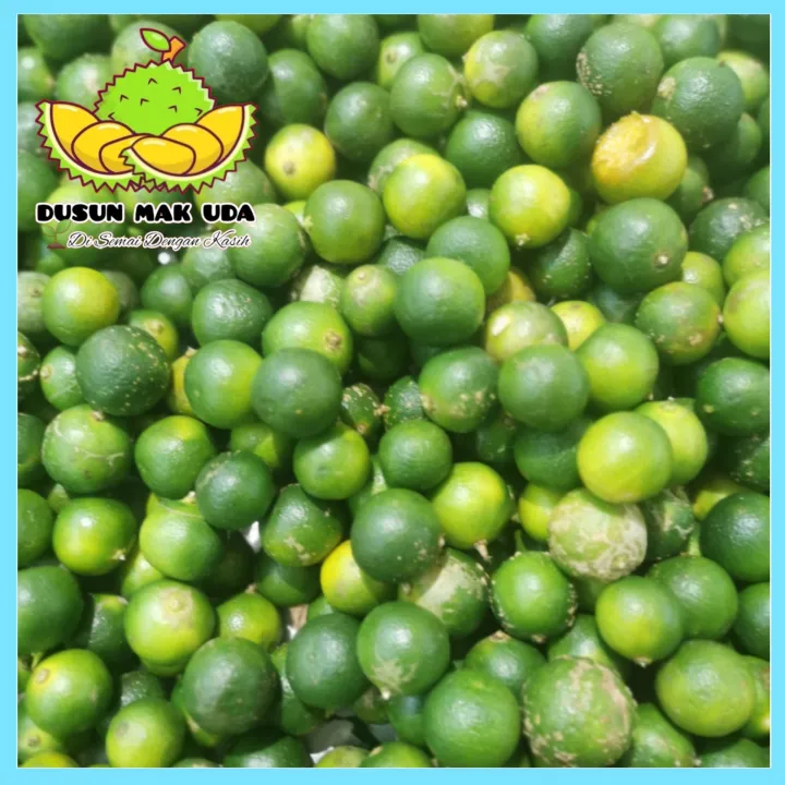 Buah Limau Kasturi Segar / Calamansi Lime 250gm, 500gm, 1000gm