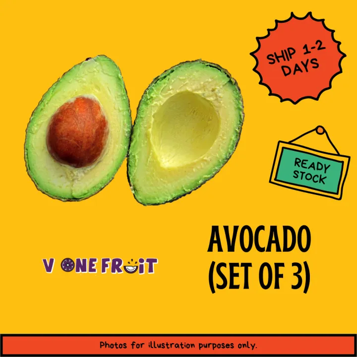 V1 Australia Avocado 澳洲鳄梨果 pcs/set in 2/3 Daily Fresh Pick Fruit | Buah buahan | Fresh produce Delivery