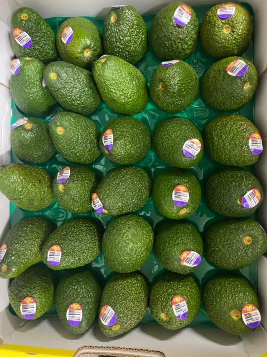 V1 Australia Avocado 澳洲鳄梨果 pcs/set in 2/3 Daily Fresh Pick Fruit | Buah buahan | Fresh produce Delivery