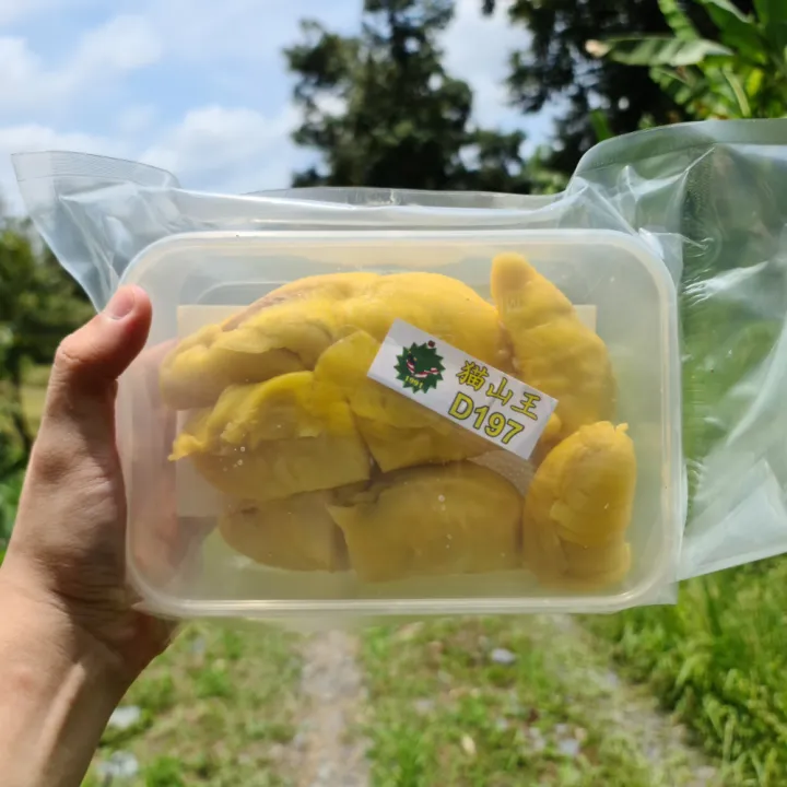 [FREE DELIVERY DAILY FRESH DURIAN] FRESH Sam's Durian D197 Musang King !!!