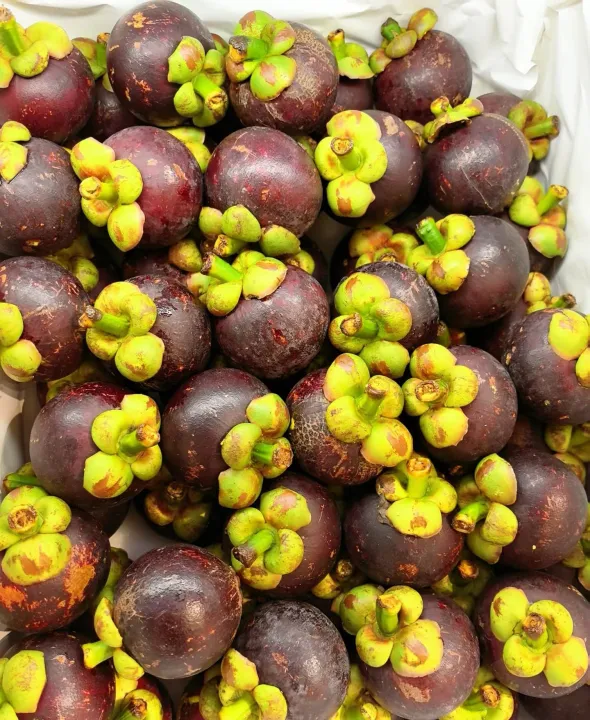 Thailand Mangosteen Fresh Sweet &Juicy Manggis
