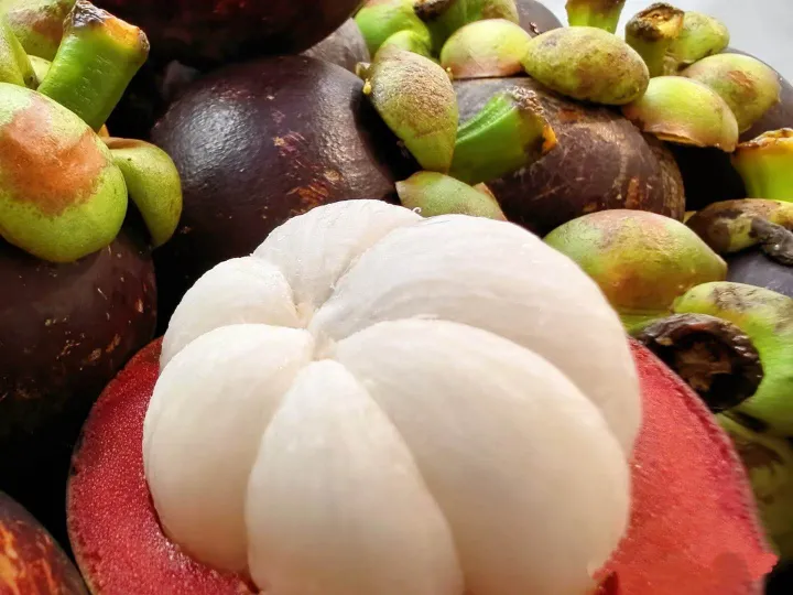 Thailand Mangosteen Fresh Sweet &Juicy Manggis