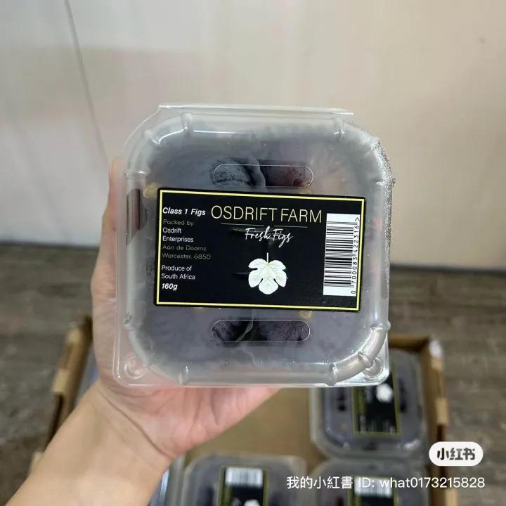 Fresh Fig South Africa Figs Fruit Buah Tin Segar 160g+/pack. 新鲜无花果