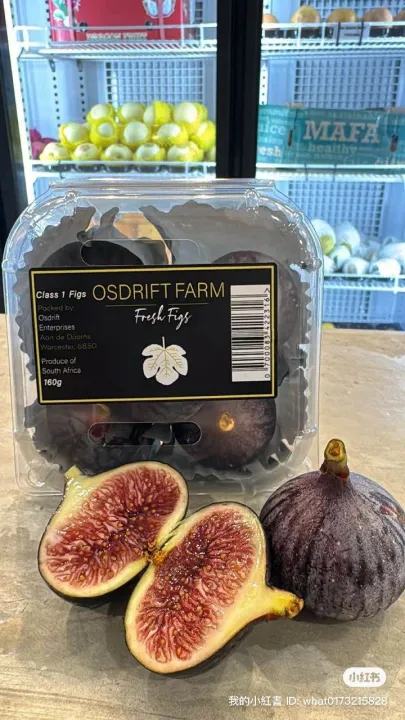 Fresh Fig South Africa Figs Fruit Buah Tin Segar 160g+/pack. 新鲜无花果