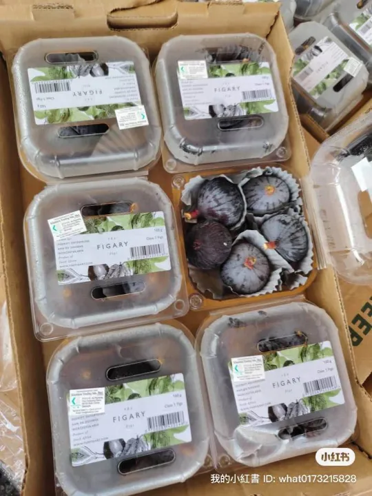 Fresh Fig South Africa Figs Fruit Buah Tin Segar 160g+/pack. 新鲜无花果