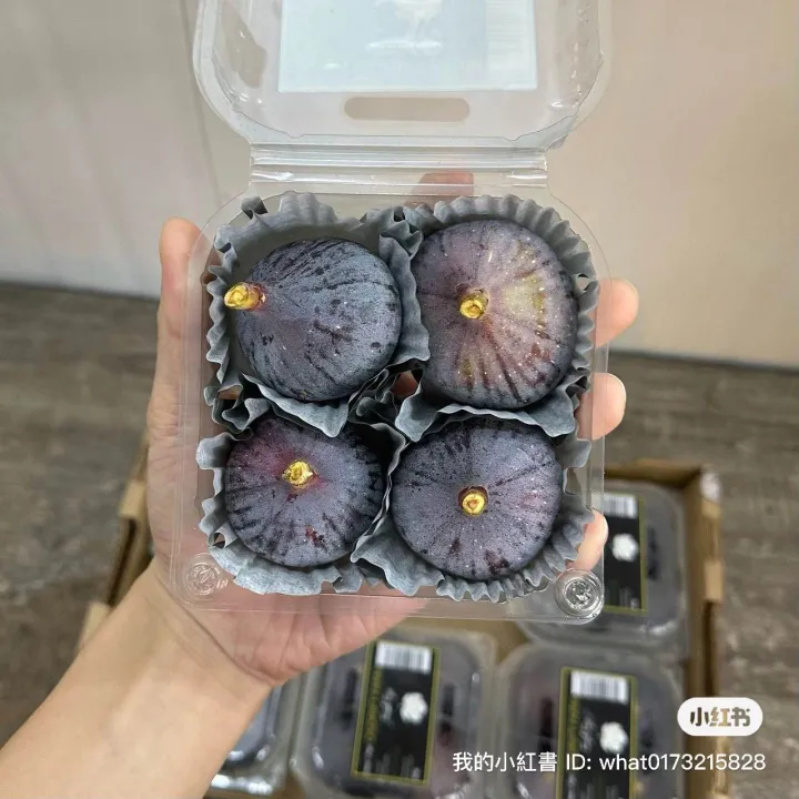 Fresh Fig South Africa Figs Fruit Buah Tin Segar 160g+/pack. 新鲜无花果