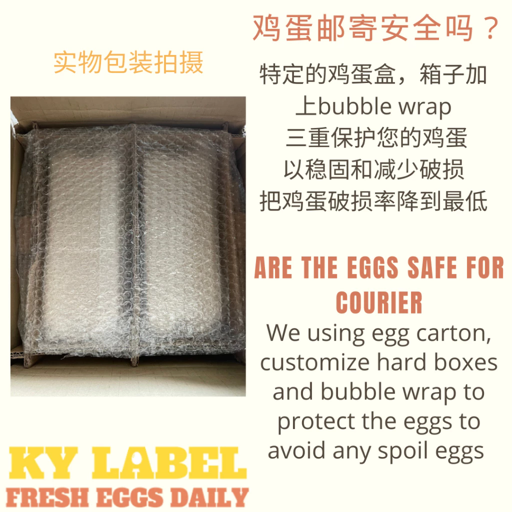 Fresh Kampung Eggs 40pcs