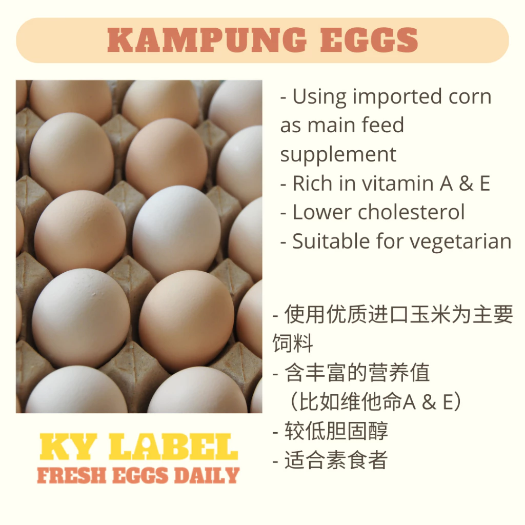 Fresh Kampung Eggs 40pcs
