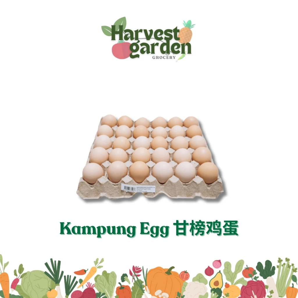 Fresh Kampung Egg Grade