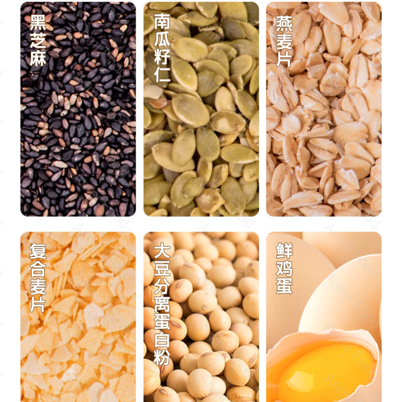 Sugar Free Pumpkin Seed Oatmeal Chips Biscuits