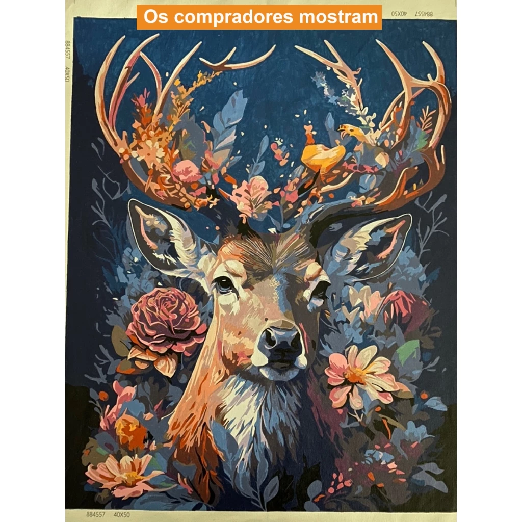 DROFE / Paint By Numbers / DIY Painting / Canvas Painting / Oil Painting / Pictures Paint By Numbers / Decoration / gift