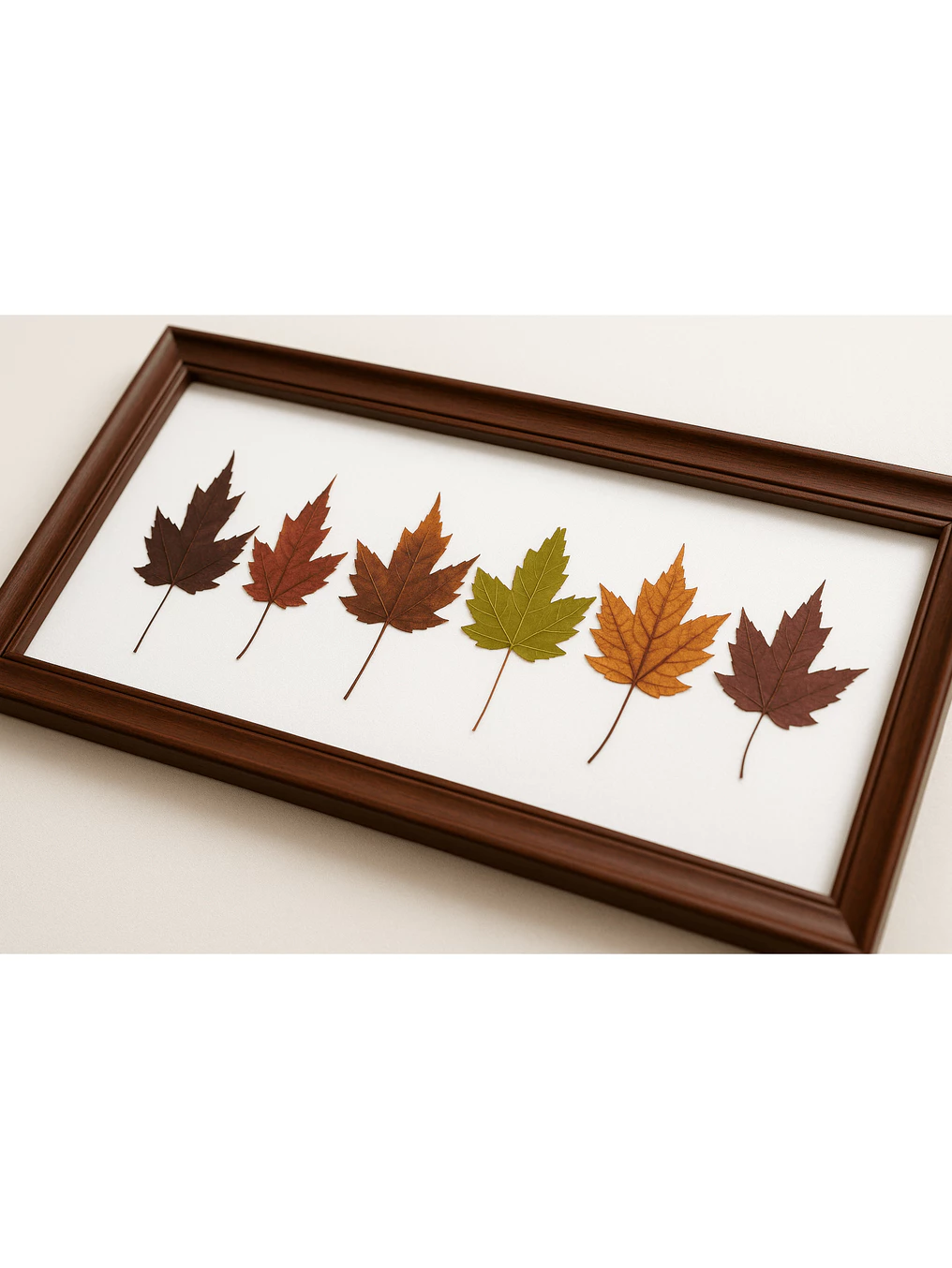 Premium Real Canadian Maple Leaf Frame – Solid Wood, Matte Non-Glare Glass, Nature Wall Art, Gift for Home/Office