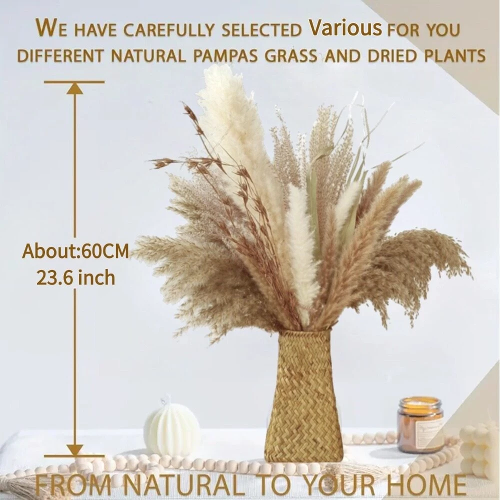 Natural Dried Pampas Grass Bohemian Home Decor Bouquet Dried Reed Flower Bouquet Bunga buluh kering