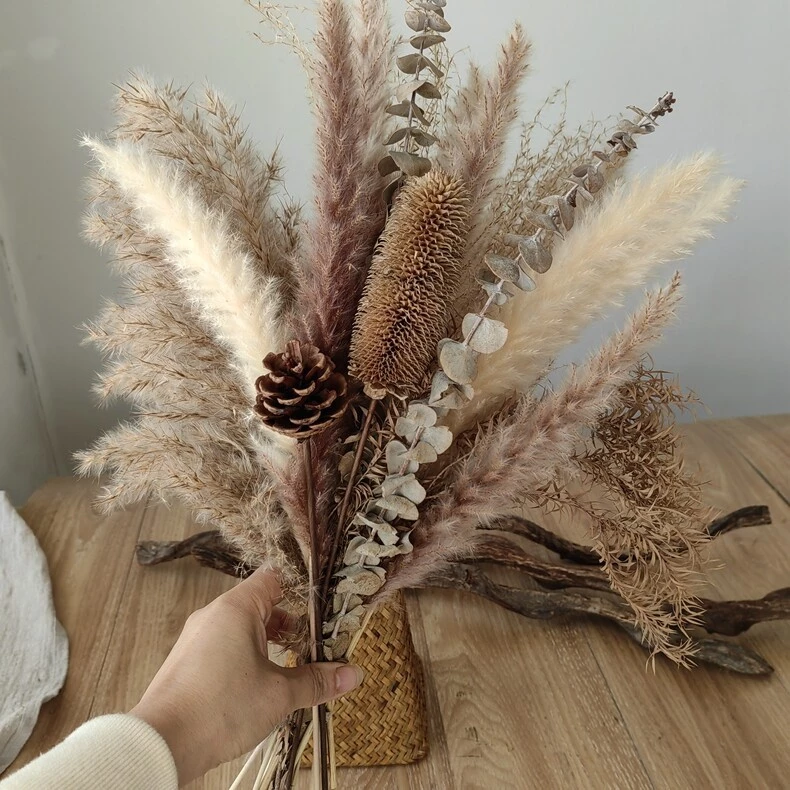 Natural Dried Pampas Grass Bohemian Home Decor Bouquet Dried Reed Flower Bouquet Bunga buluh kering