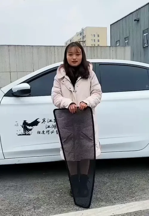 (MADE IN MALAYSIA) Perodua Magnetic Sunshade ALZA 2022 D27A ATIVA AXIA 2023 BEZZA ARUZ VIVA MYVI 2005 MYVI LAGI BEST ICON ALZA MYVI 2017-2023 KANCIL KELISA KENARI aksesori kereta sun shade